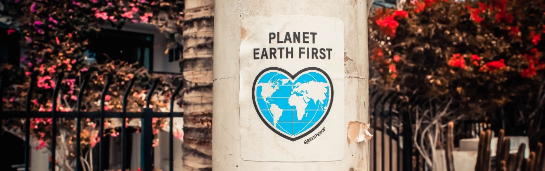 planet earth first