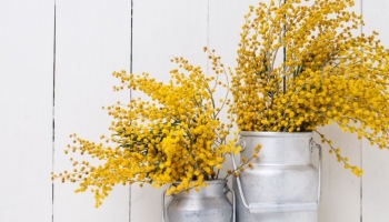 Comment sensibiliser vos clients à des fleurs écoresponsables ?